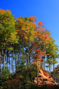 开云体育app官网下载地址-关于欧锦赛资格赛的最新消息