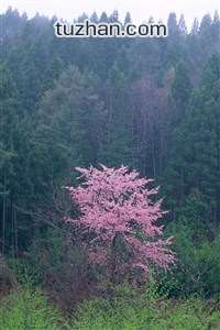 开云体育app官网下载地址-关于欧锦赛资格赛的最新消息