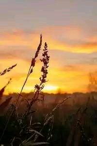 开云体育app下载入口-比利亚雷亚尔主场大胜，继续保持上升势头