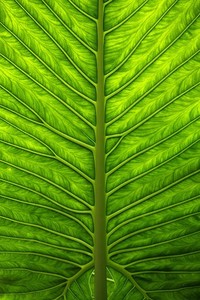 开云体育app官网下载地址-关于欧锦赛资格赛的最新消息