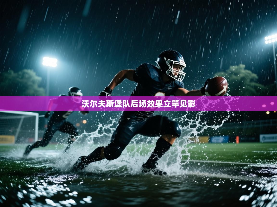 开云体育app官网-沃尔夫斯堡队后场效果立竿见影 第2张