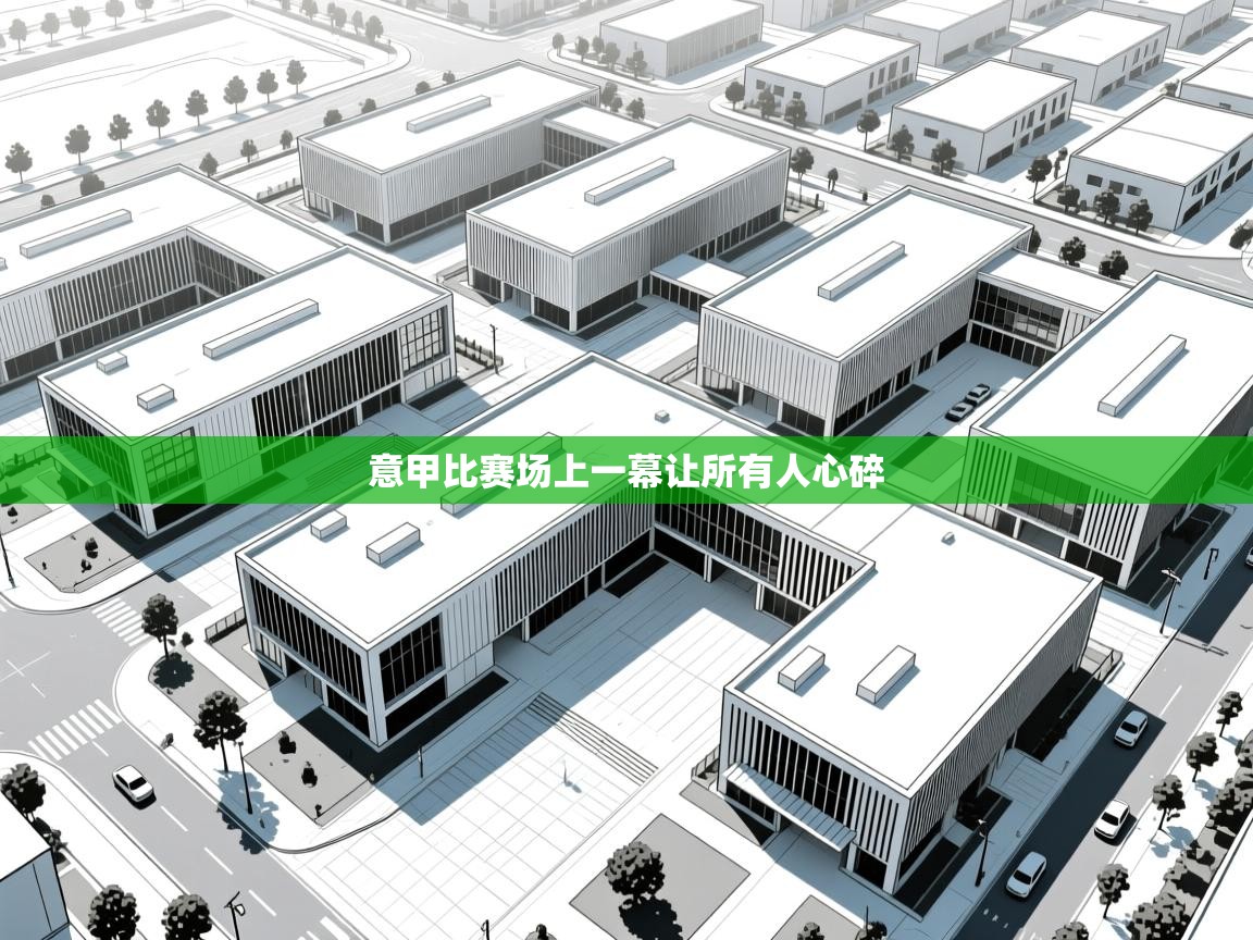 开云手机版-意甲比赛场上一幕让所有人心碎 第3张