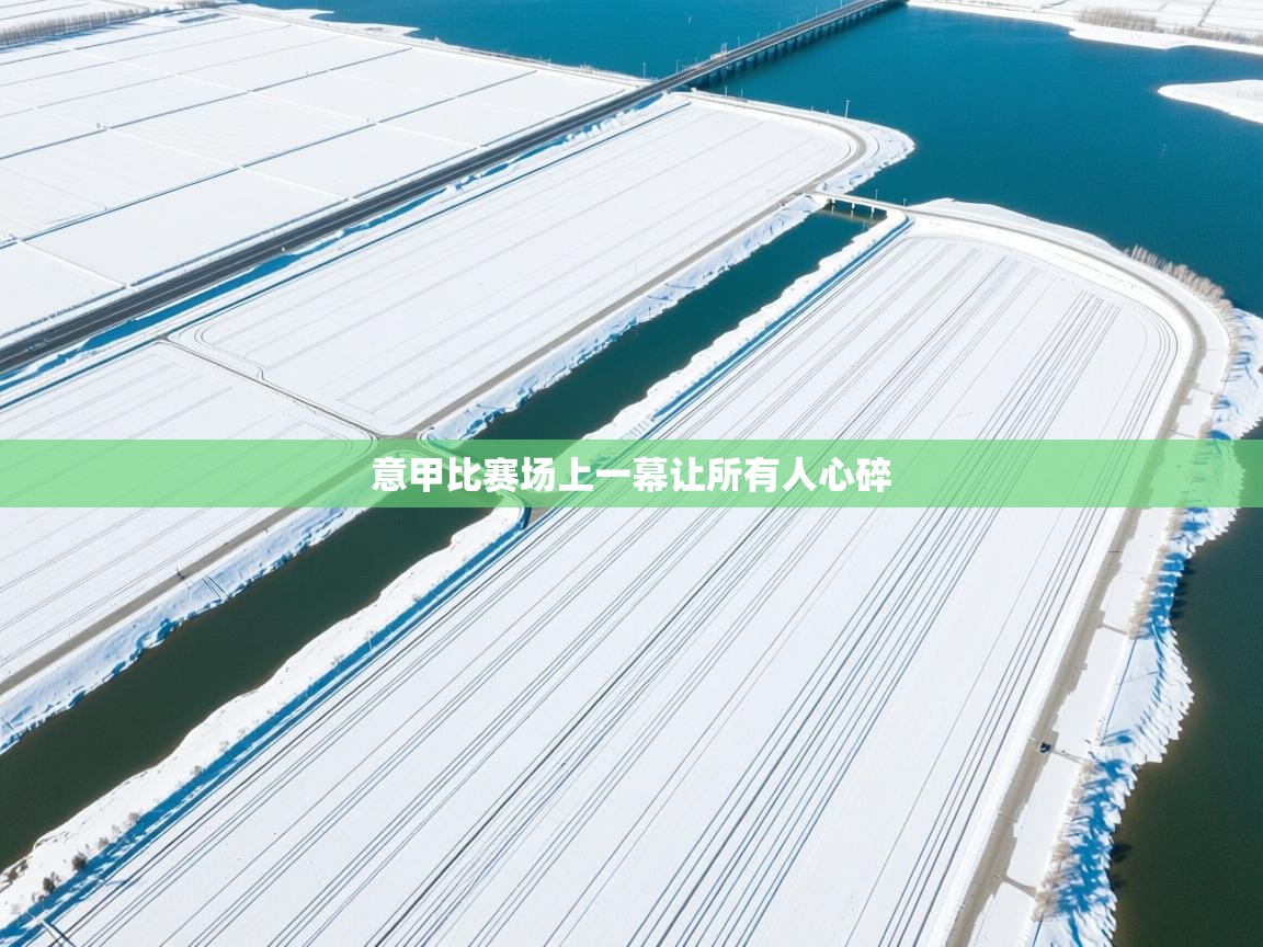 开云手机版-意甲比赛场上一幕让所有人心碎 第2张