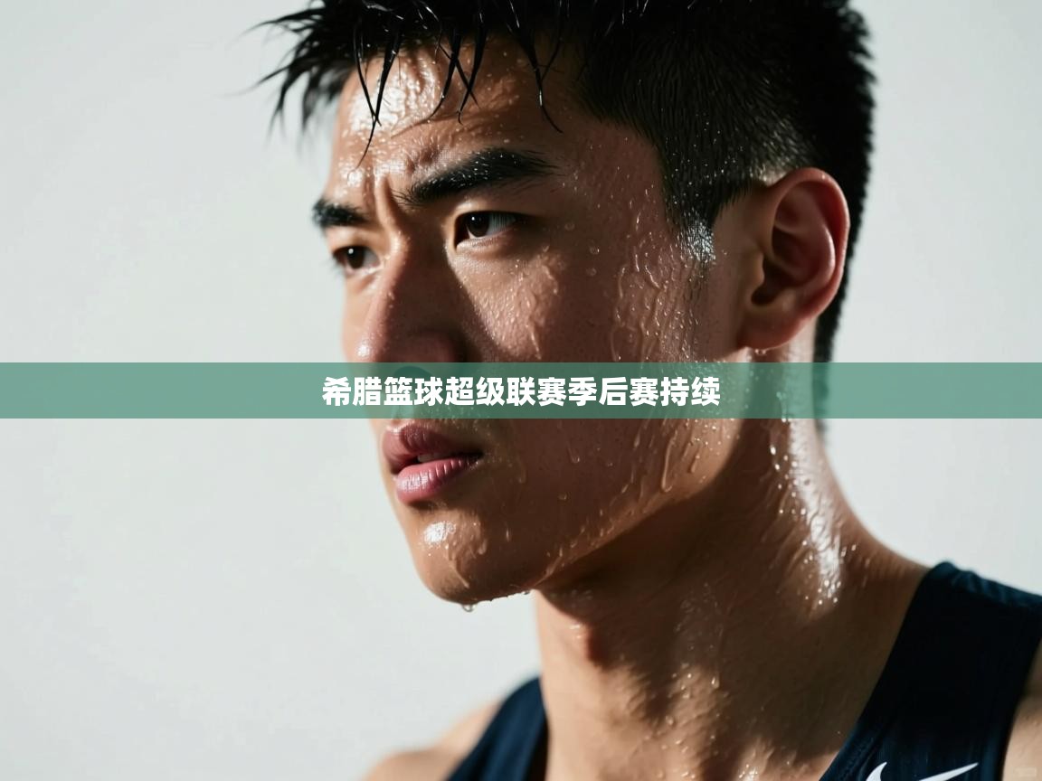 开运体育登录入口-希腊篮球超级联赛季后赛持续  第3张