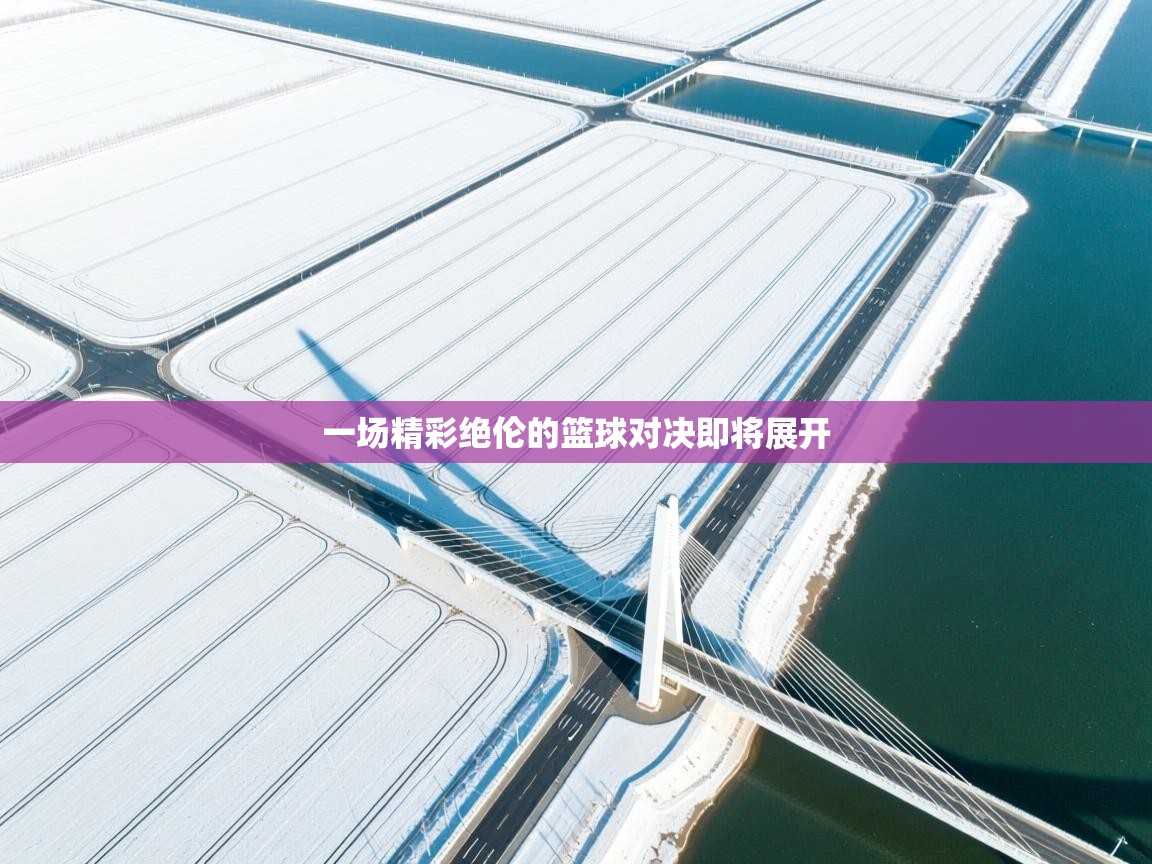 开云体育iOS安装教程-一场精彩绝伦的篮球对决即将展开