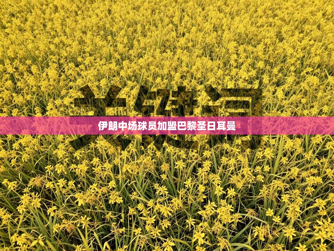 云开体育app官网入口网页版-伊朗中场球员加盟巴黎圣日耳曼