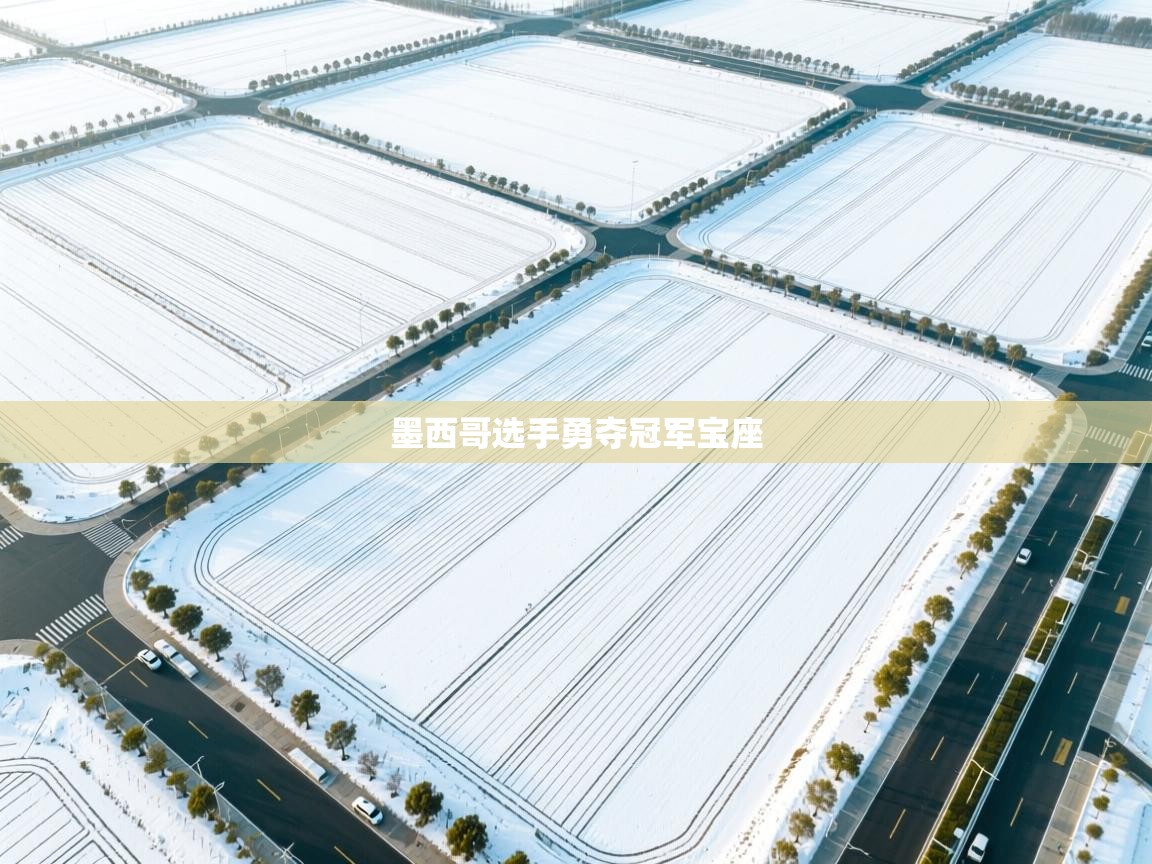 开云体育消息订阅关闭-墨西哥选手勇夺冠军宝座 第4张